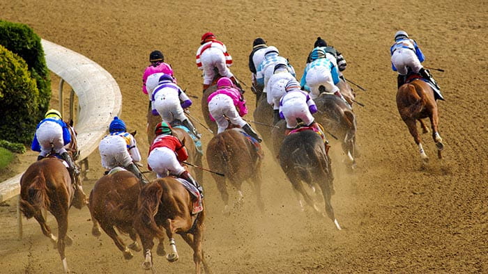 Horses racing on the track