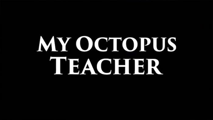 My Octopus Teacher