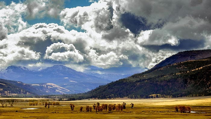 Yellowstone National Park