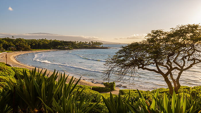 People enjoying Kauna'oa beach