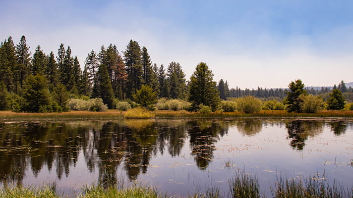 A Lake Tahoe waterway with woodland near Pope Beach