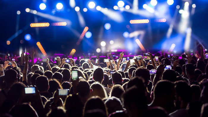 Festivalgoers enjoying a lively performance at The Governor’s Ball Music Festival